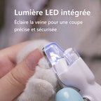 Lumière LED intégrée du coupe-ongles éclairant la griffe de chat - Visualisation de la veine pour une coupe précise et sécurisée