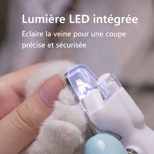 Lumière LED intégrée du coupe-ongles éclairant la griffe de chat - Visualisation de la veine pour une coupe précise et sécurisée